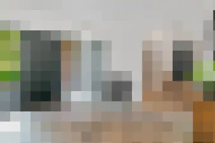 Euklaasdijk 8 Roosendaal thumbnail 23