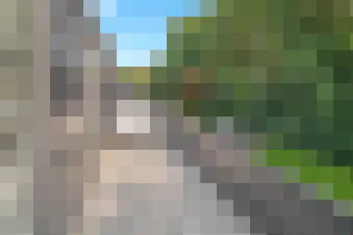 Euklaasdijk 8 Roosendaal thumbnail 29
