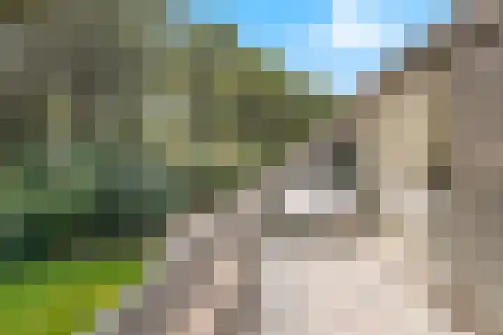 Euklaasdijk 8 Roosendaal thumbnail 30