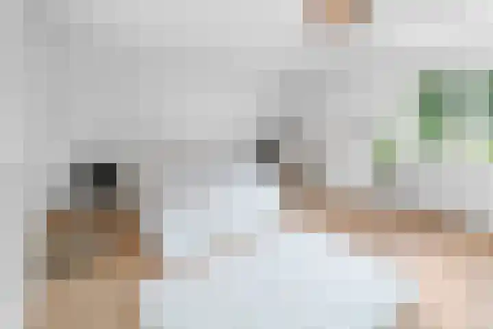 Euklaasdijk 8 Roosendaal thumbnail 33