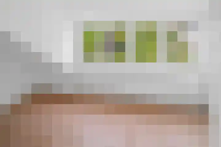 Euklaasdijk 8 Roosendaal thumbnail 35