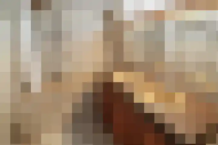 Euklaasdijk 8 Roosendaal thumbnail 38