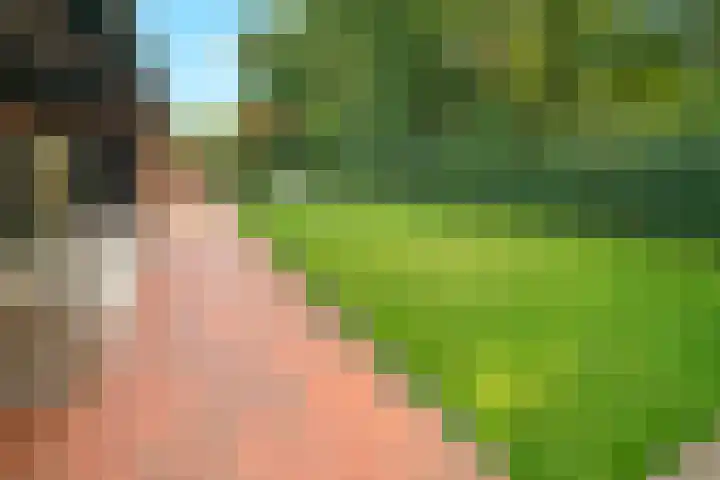 Euklaasdijk 8 Roosendaal thumbnail 42