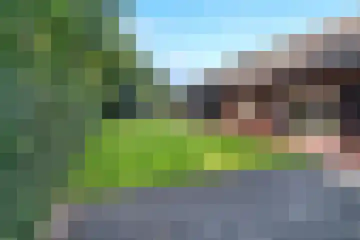Euklaasdijk 8 Roosendaal thumbnail 43