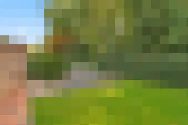 Euklaasdijk 8 Roosendaal thumbnail 44