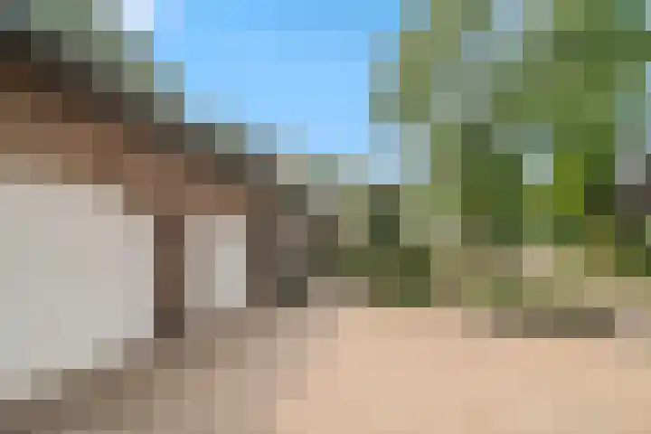 Euklaasdijk 8 Roosendaal thumbnail 48