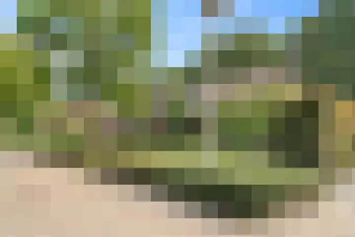 Euklaasdijk 8 Roosendaal thumbnail 52