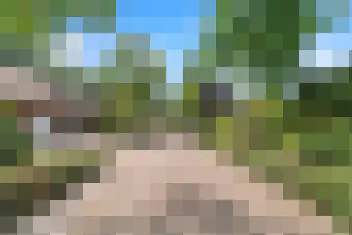 Euklaasdijk 8 Roosendaal thumbnail 53