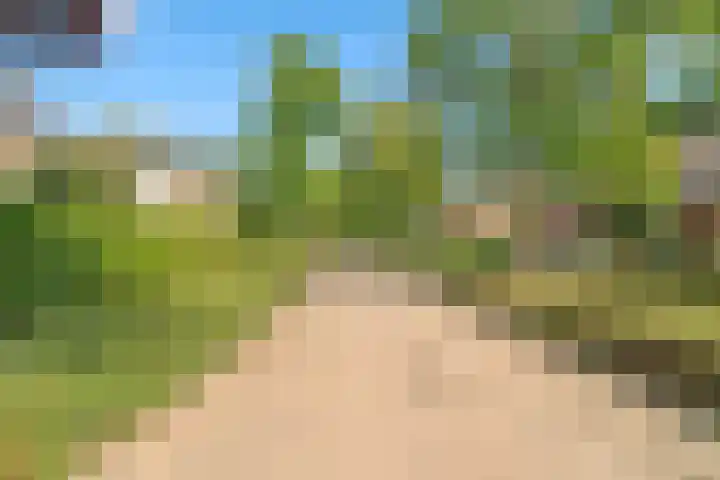 Euklaasdijk 8 Roosendaal thumbnail 54