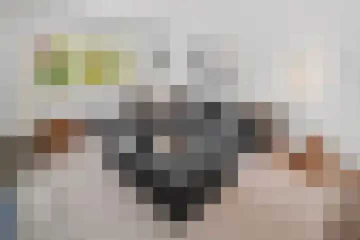 Euklaasdijk 8 Roosendaal thumbnail 9