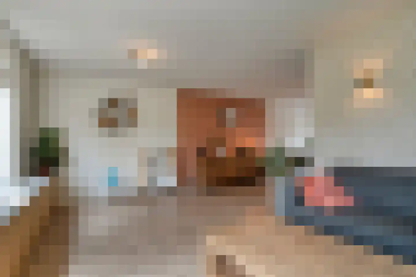 Eulinkstraat 6 Olst thumbnail 11