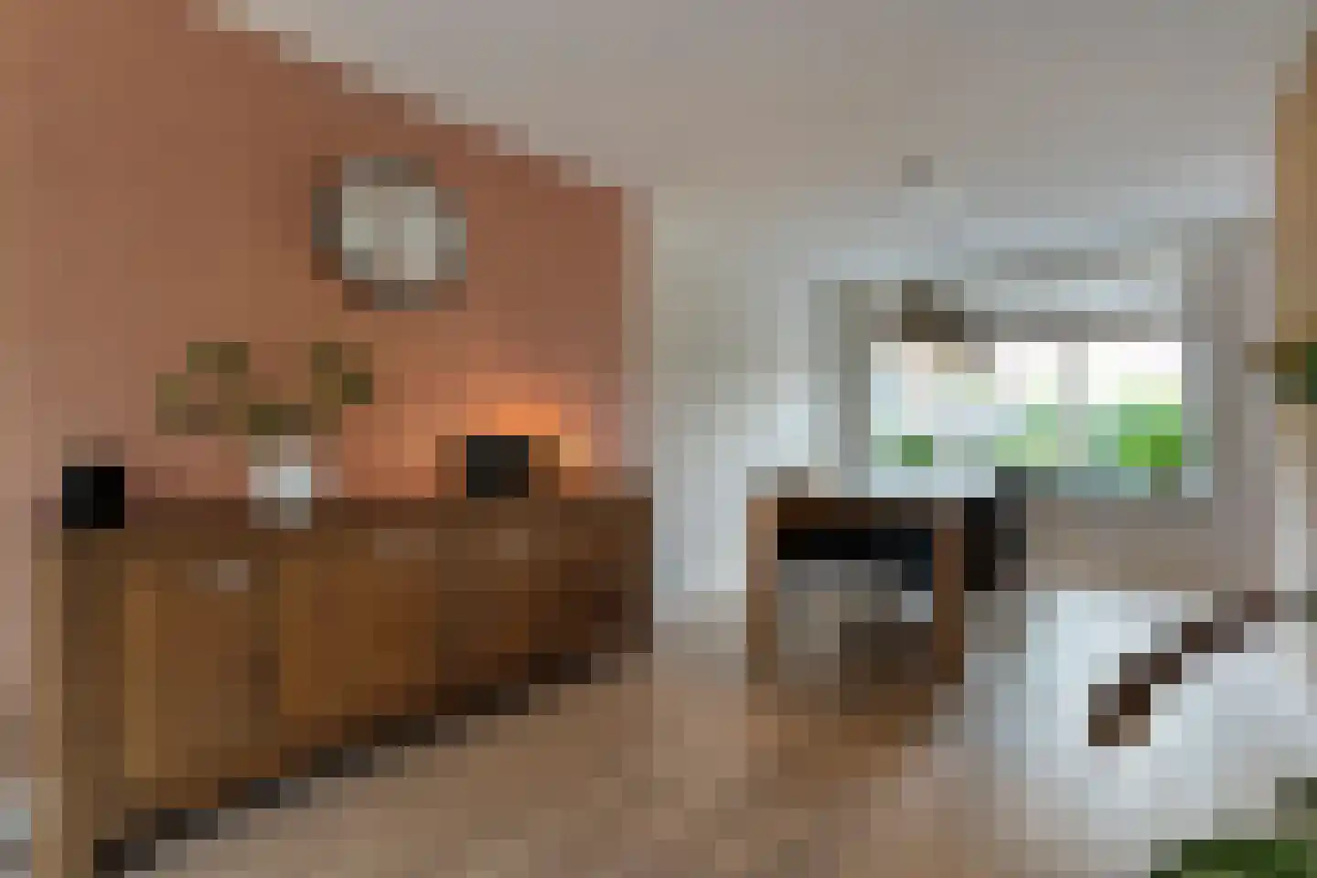 Eulinkstraat 6 Olst thumbnail 12