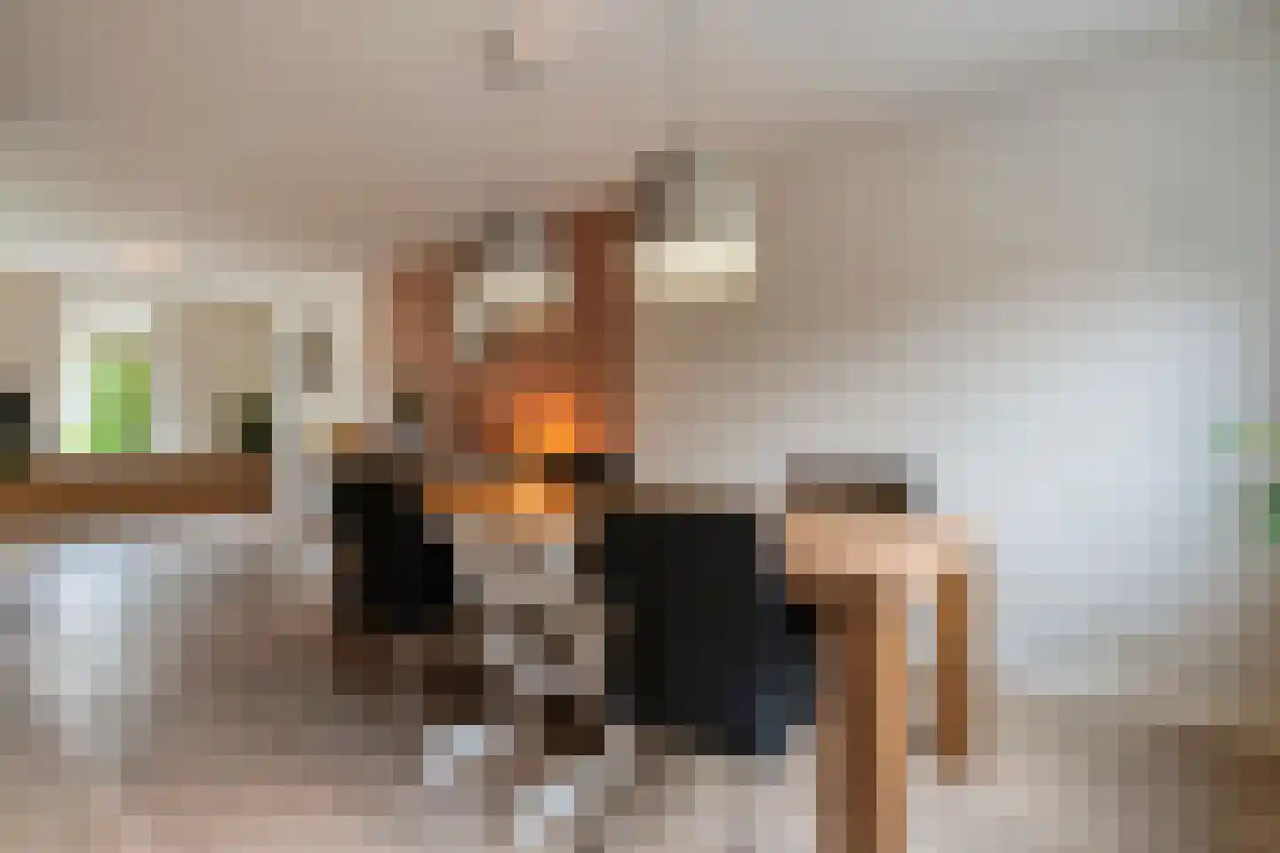 Eulinkstraat 6 Olst thumbnail 15