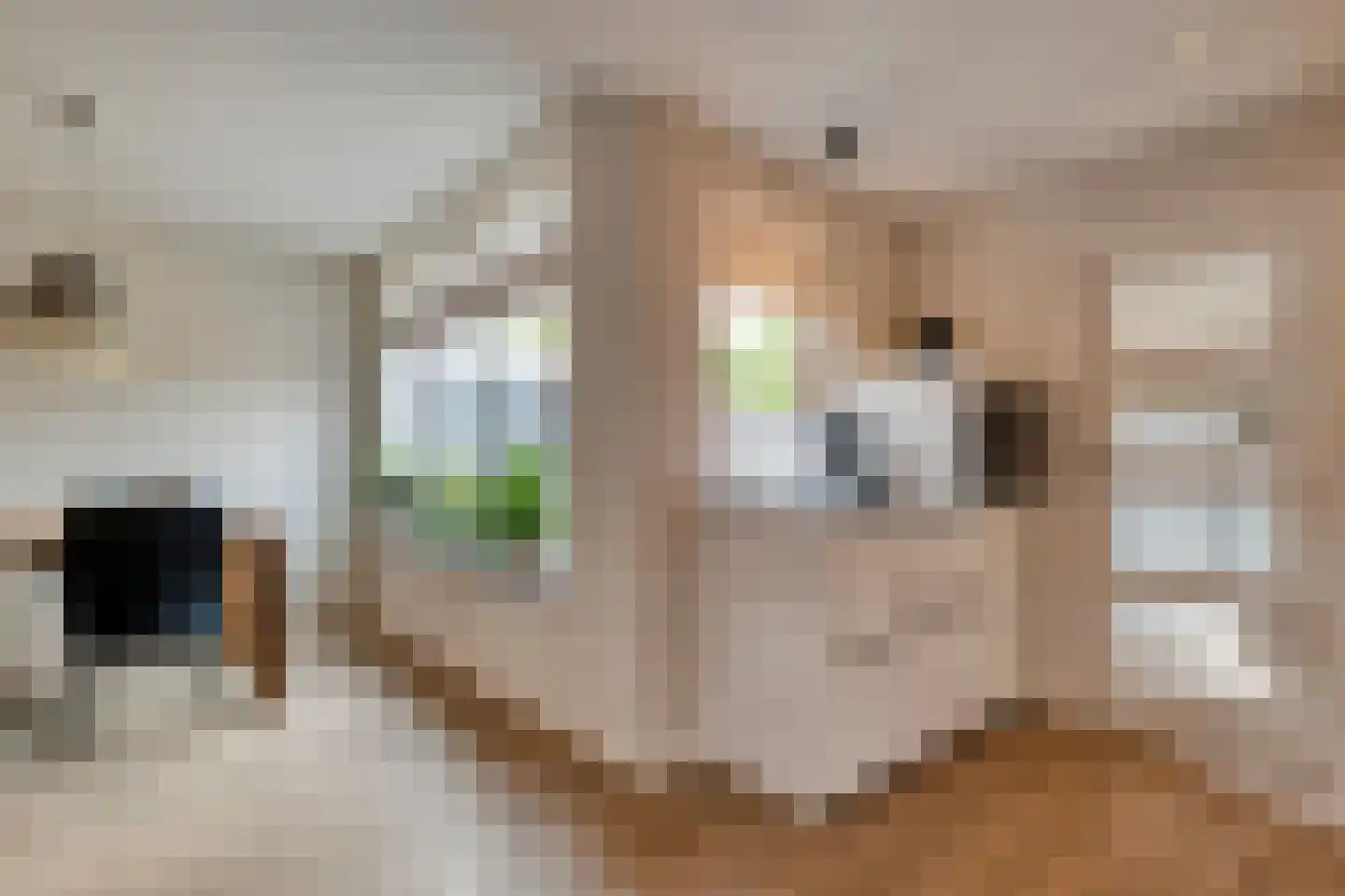 Eulinkstraat 6 Olst thumbnail 17