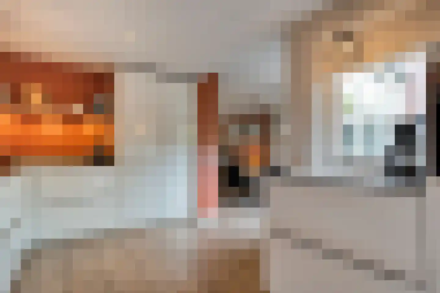 Eulinkstraat 6 Olst thumbnail 18