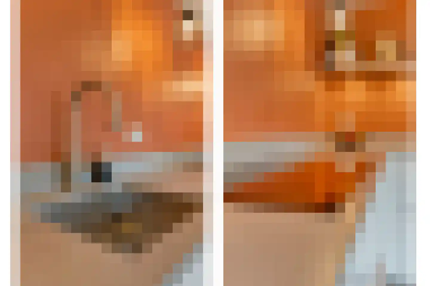 Eulinkstraat 6 Olst thumbnail 20