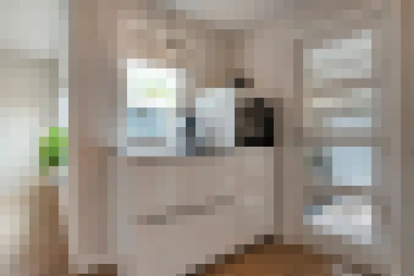 Eulinkstraat 6 Olst thumbnail 21
