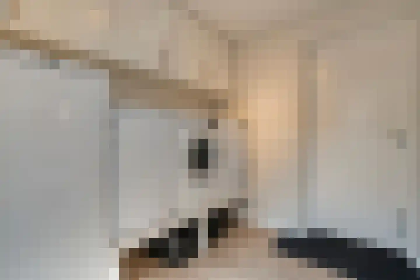 Eulinkstraat 6 Olst thumbnail 22