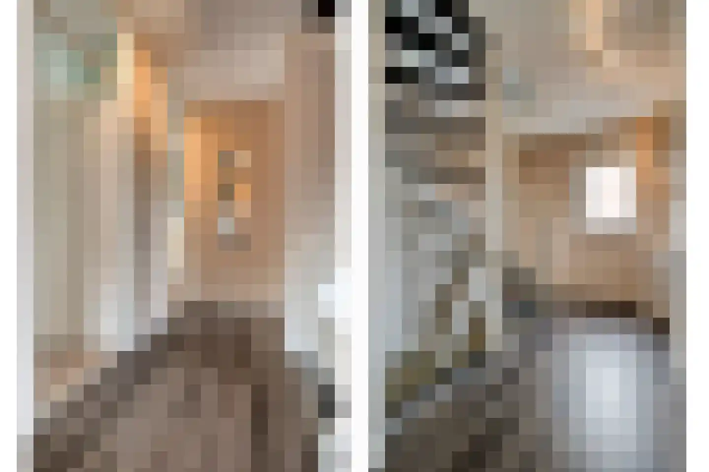 Eulinkstraat 6 Olst thumbnail 24