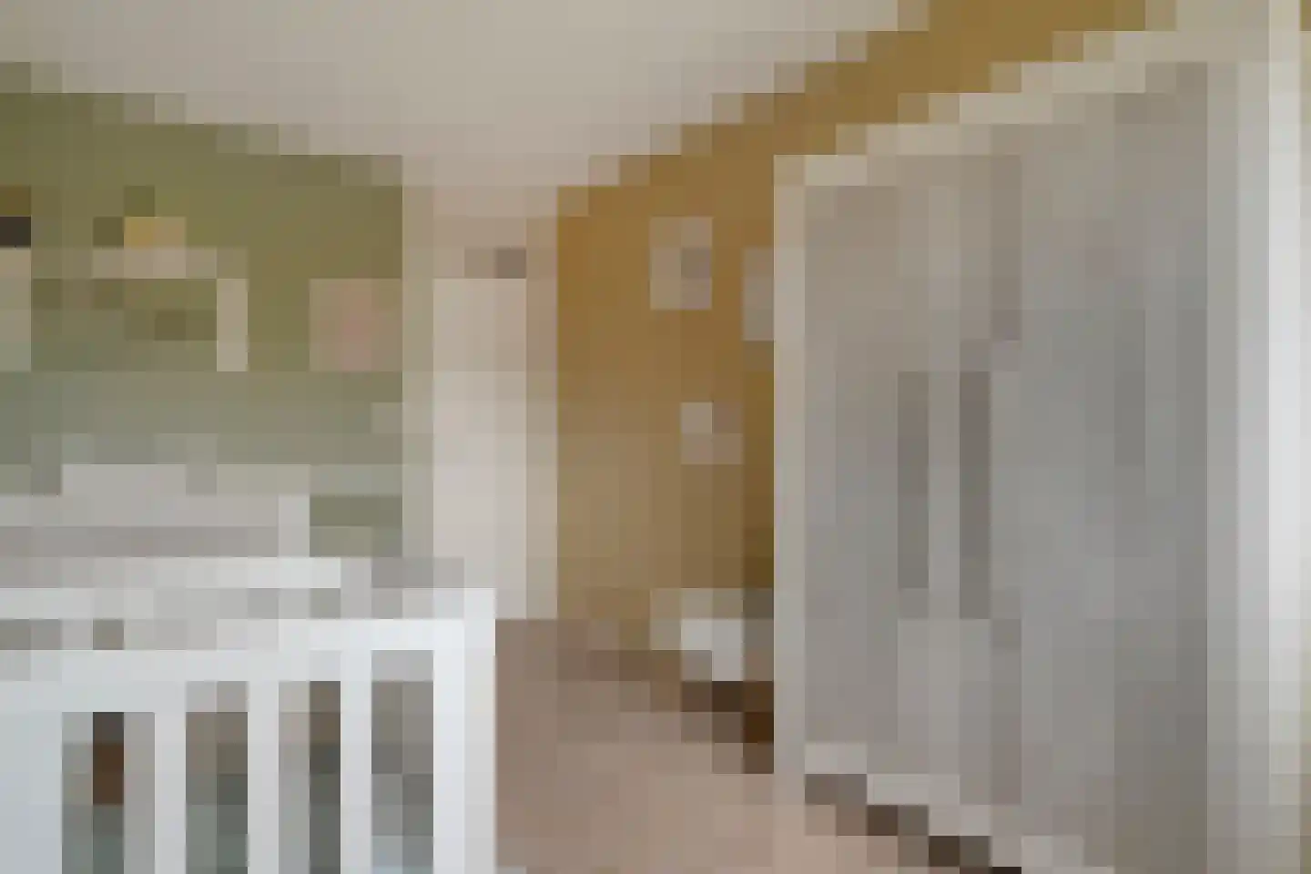 Eulinkstraat 6 Olst thumbnail 28