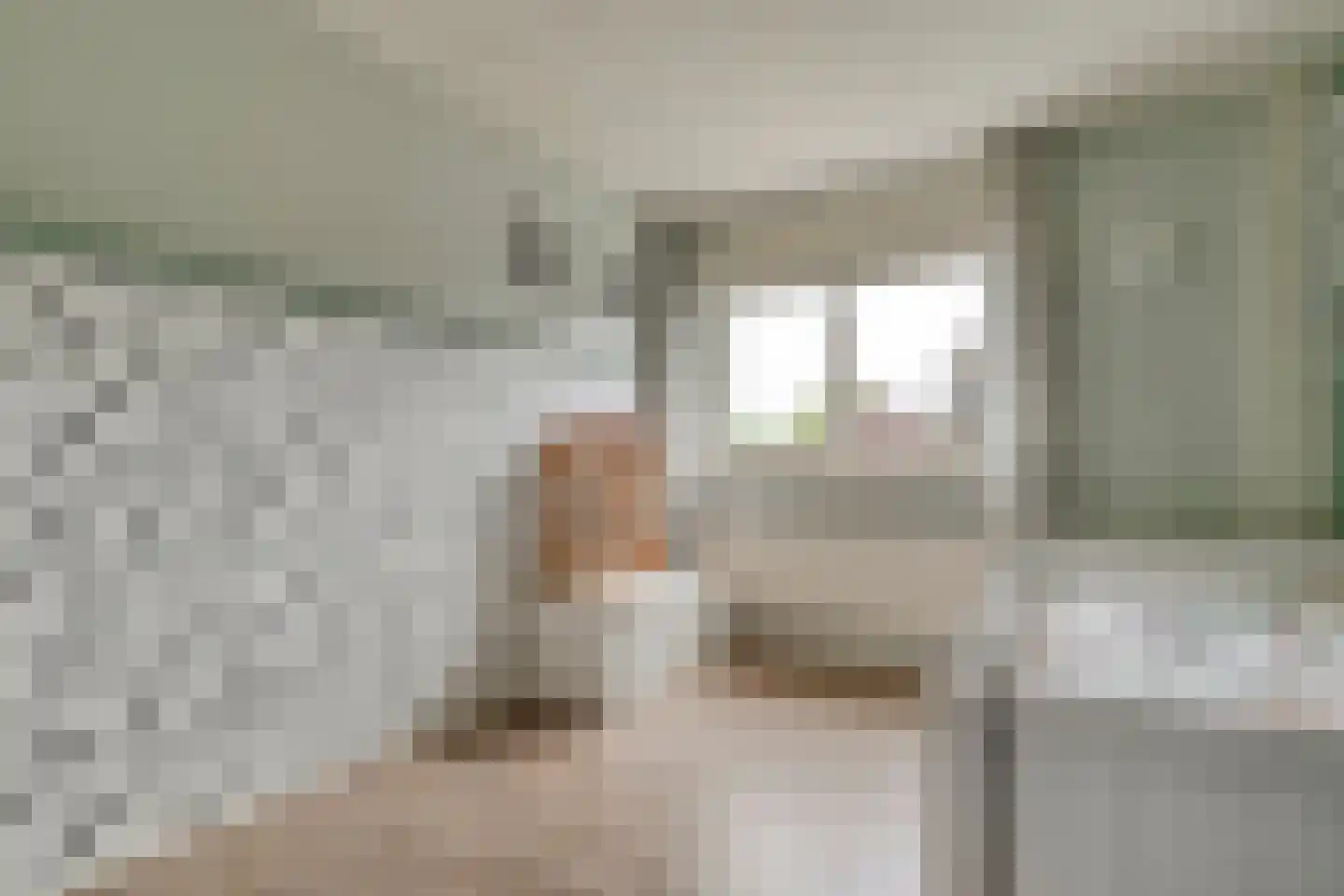 Eulinkstraat 6 Olst thumbnail 29