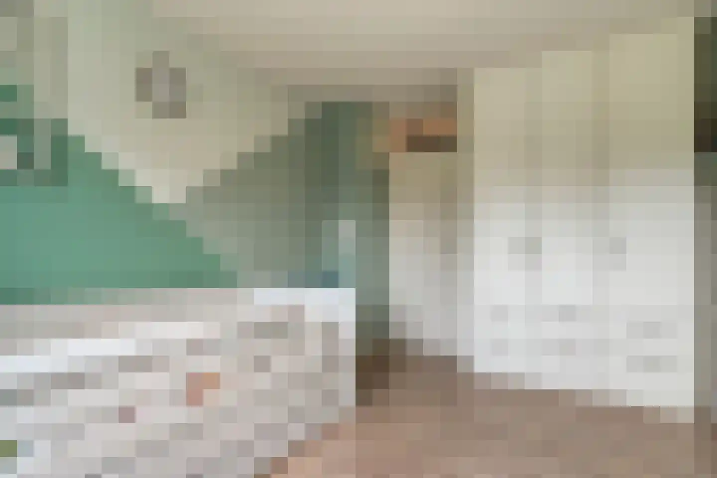 Eulinkstraat 6 Olst thumbnail 30