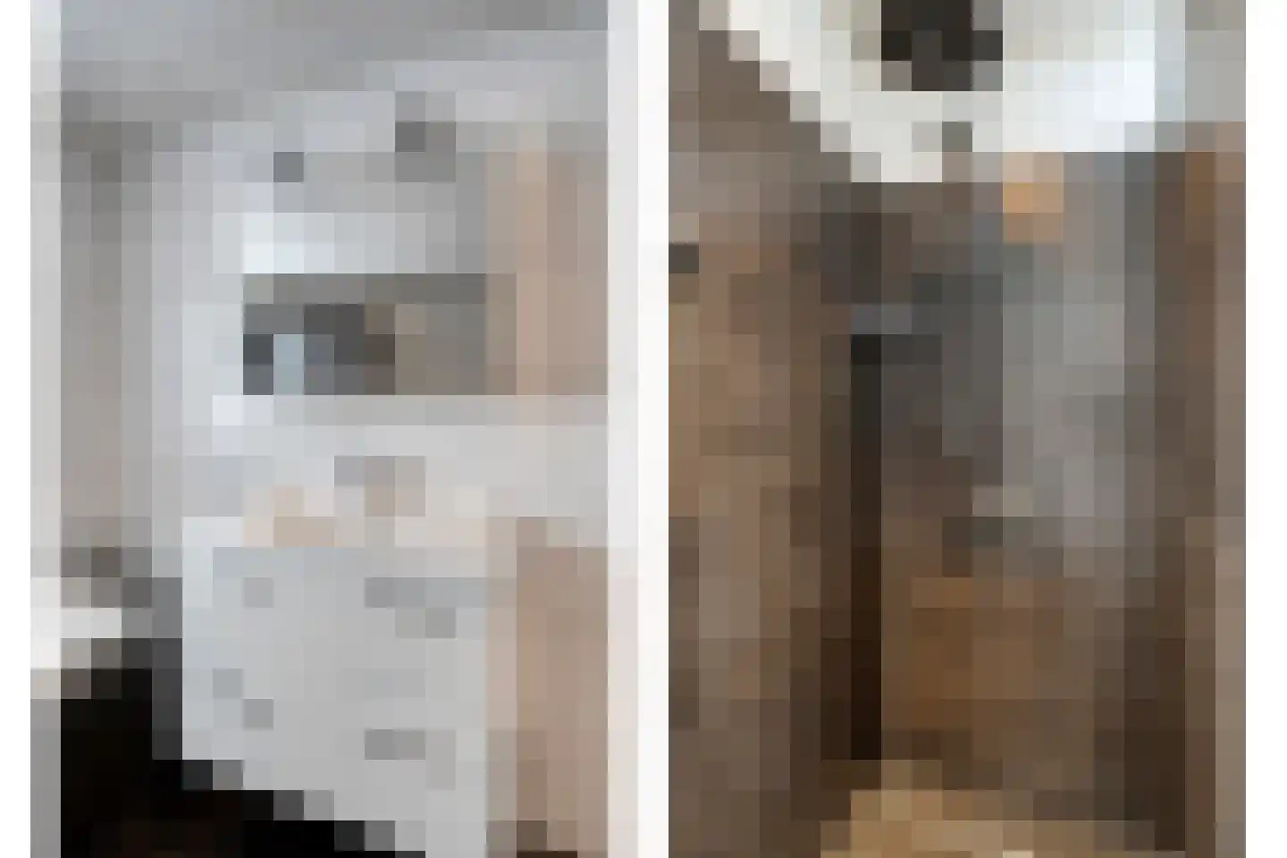 Eulinkstraat 6 Olst thumbnail 32