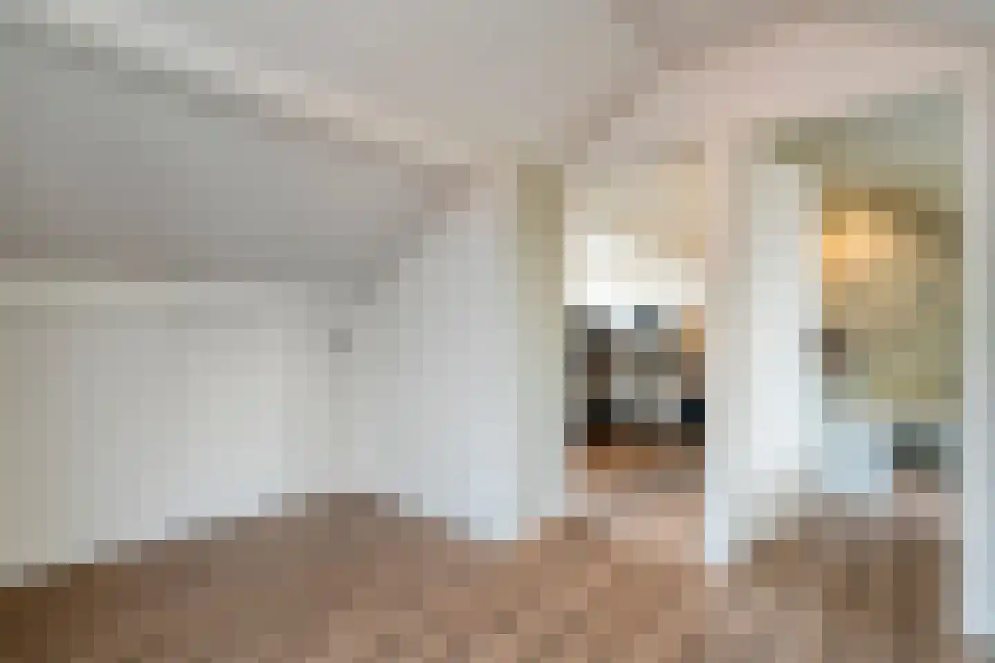 Eulinkstraat 6 Olst thumbnail 34