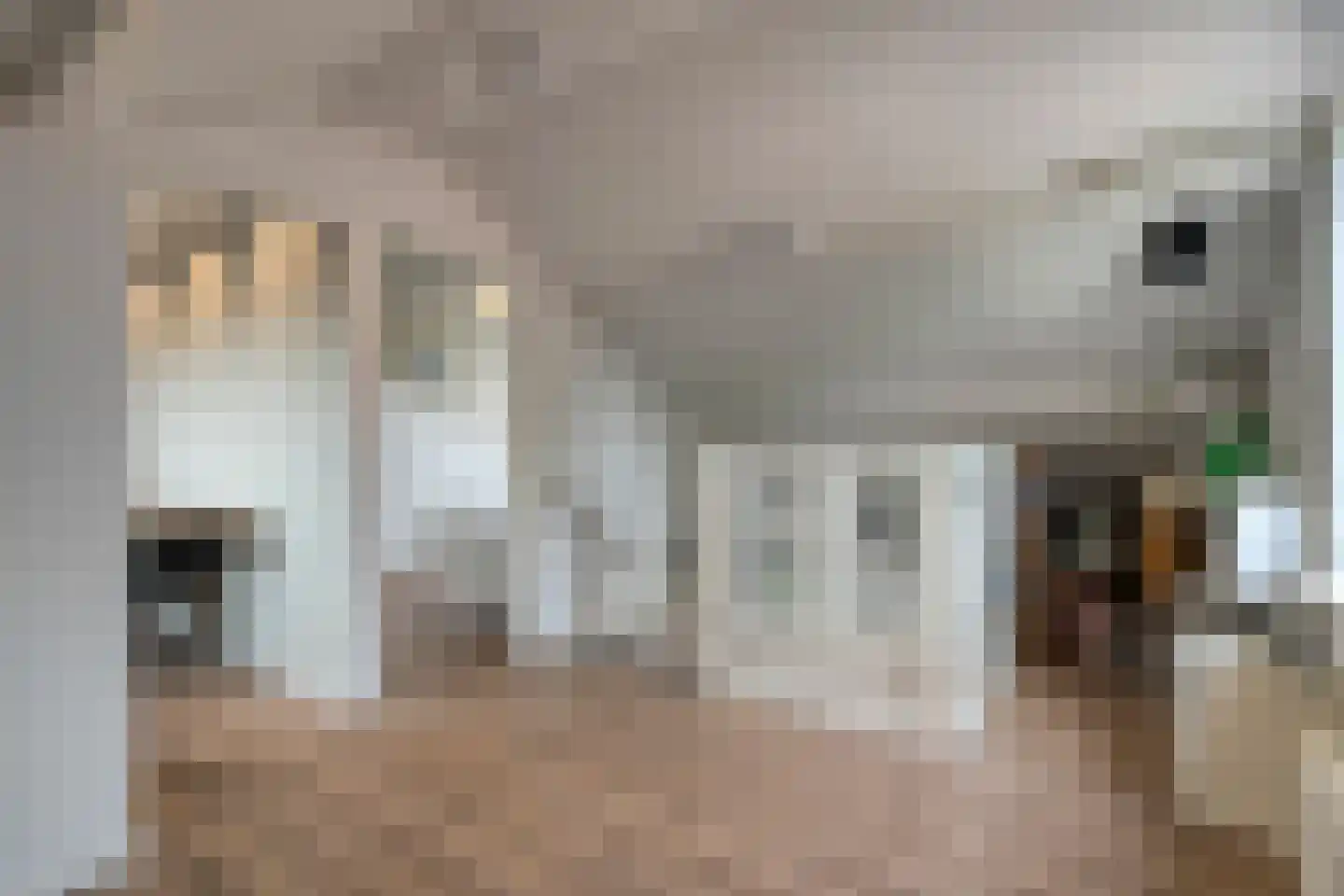 Eulinkstraat 6 Olst thumbnail 35