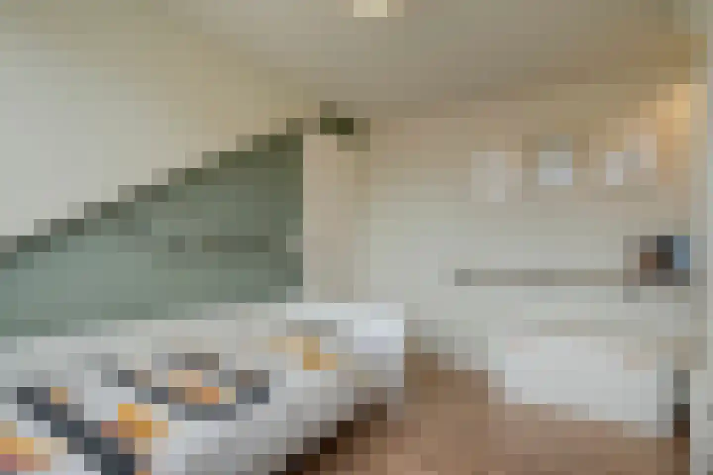 Eulinkstraat 6 Olst thumbnail 37