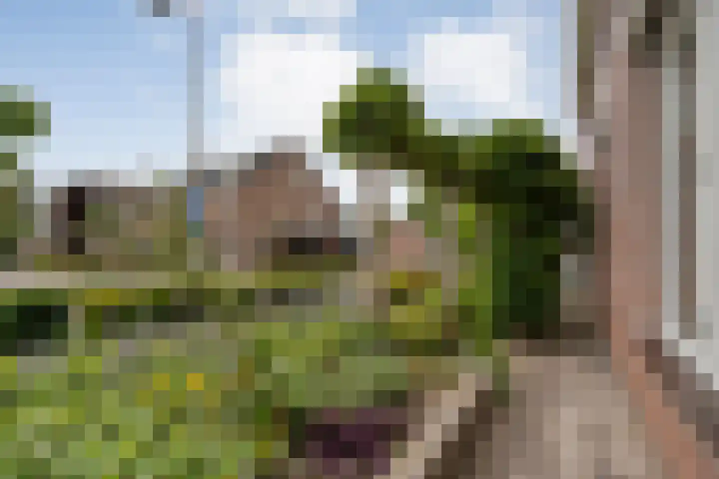 Eulinkstraat 6 Olst thumbnail 4