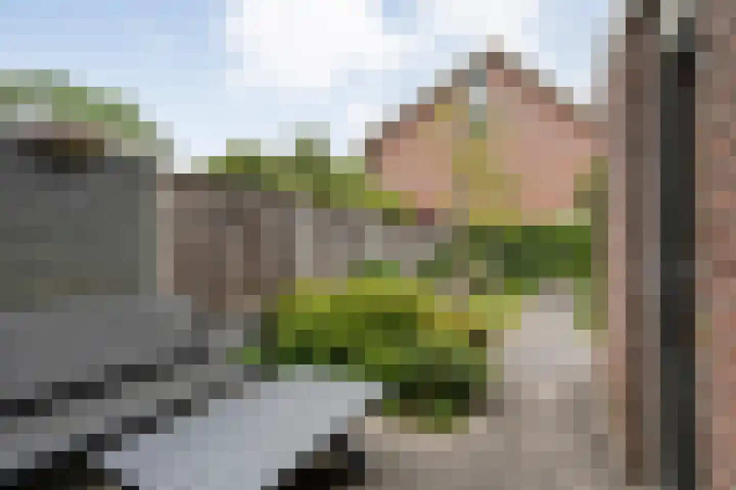 Eulinkstraat 6 Olst thumbnail 42