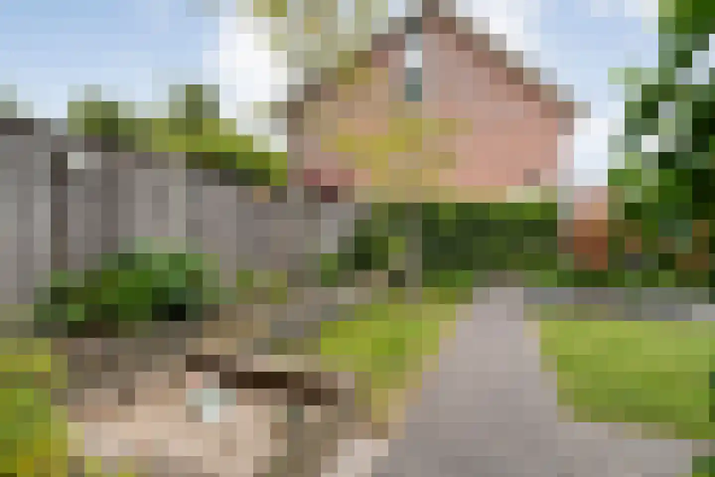 Eulinkstraat 6 Olst thumbnail 43