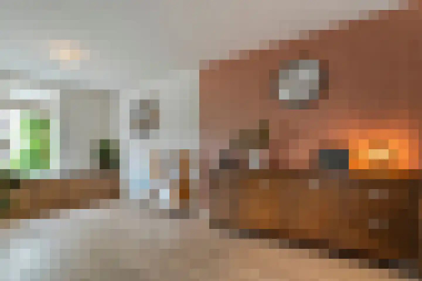 Eulinkstraat 6 Olst thumbnail 9