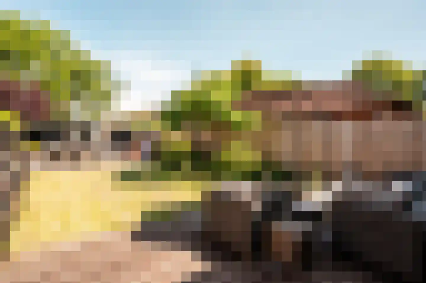 Euphoniumweg 8 Almere thumbnail 32