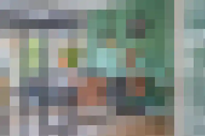 Euratomsingel 13 Heemskerk thumbnail 13
