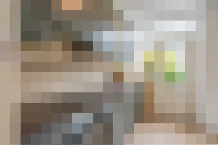 Euratomsingel 13 Heemskerk thumbnail 19