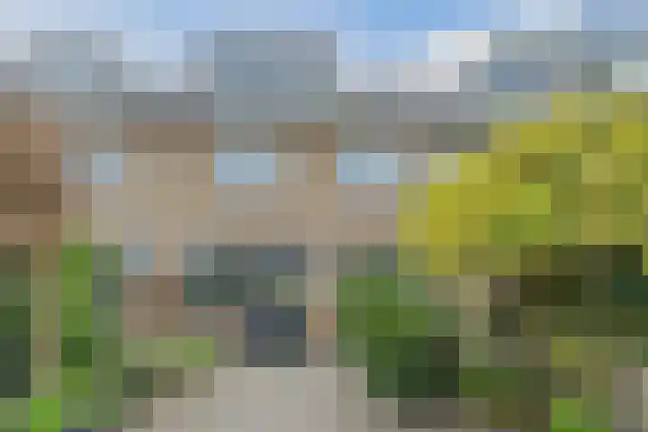 Euratomsingel 13 Heemskerk thumbnail 21