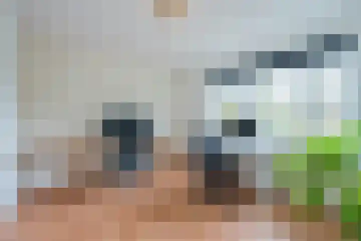 Euratomsingel 13 Heemskerk thumbnail 34