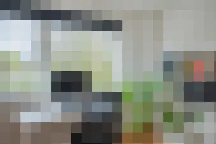 Euratomsingel 13 Heemskerk thumbnail 36