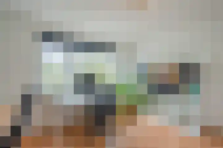 Euratomsingel 13 Heemskerk thumbnail 37
