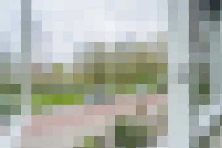 Euratomsingel 13 Heemskerk thumbnail 38