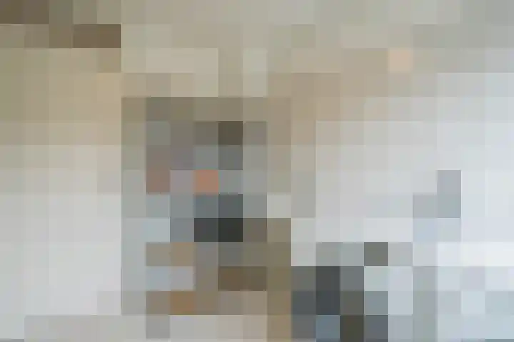 Euratomsingel 13 Heemskerk thumbnail 40