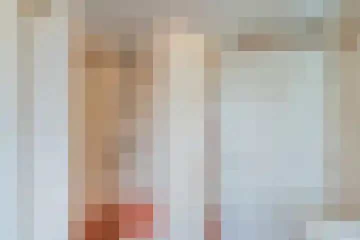 Euratomsingel 13 Heemskerk thumbnail 42