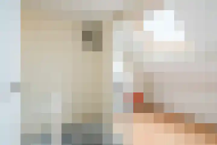 Euratomsingel 13 Heemskerk thumbnail 48