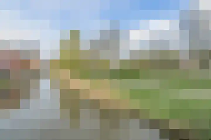 Euratomsingel 13 Heemskerk thumbnail 59