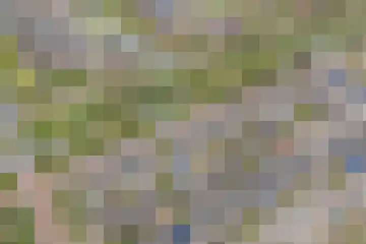 Euratomsingel 13 Heemskerk thumbnail 62