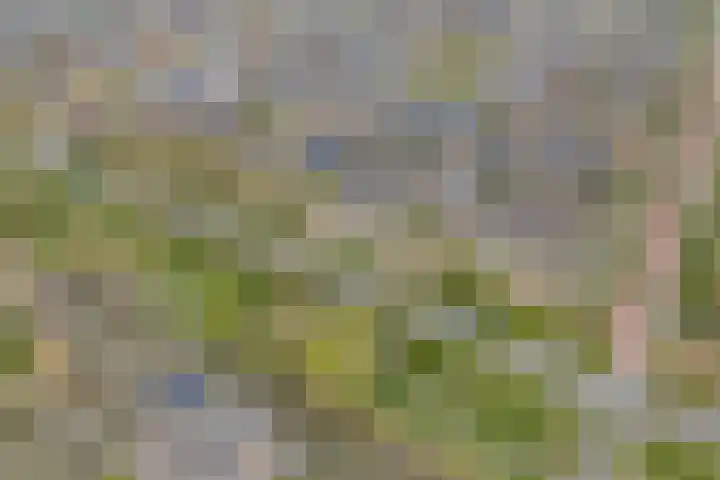 Euratomsingel 13 Heemskerk thumbnail 66