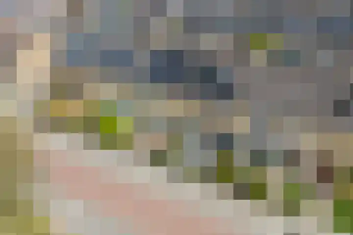 Euratomsingel 13 Heemskerk thumbnail 67