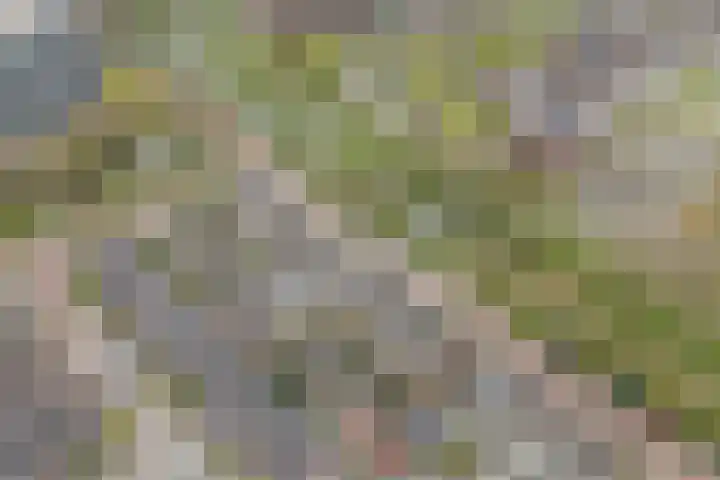 Euratomsingel 13 Heemskerk thumbnail 69